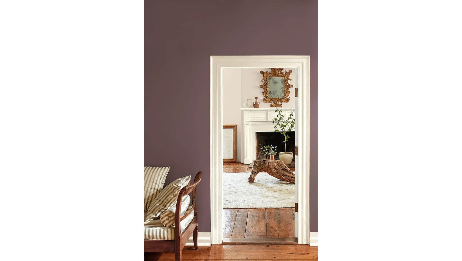 2025 Color of the Year, Benjamin Moore’s Must-See Palette